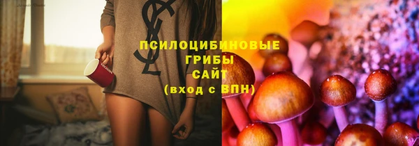 хмурый Инсар