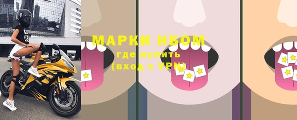 хмурый Инсар