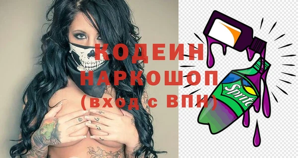 хмурый Инсар