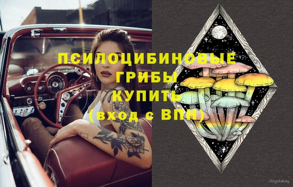 не бодяженный Иннополис