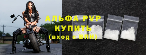 хмурый Инсар