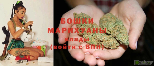 хмурый Инсар