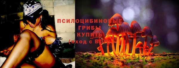 хмурый Инсар